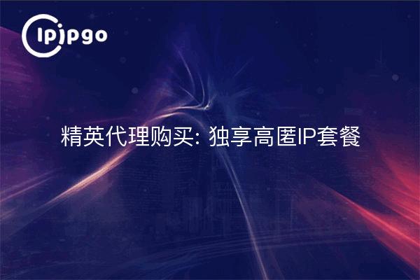 Elite Proxy Purchase: Exclusive High Stash IP Packages