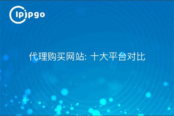 代理购买网站: 十大平台对比