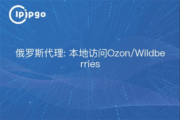 俄罗斯代理: 本地访问Ozon/Wildberries