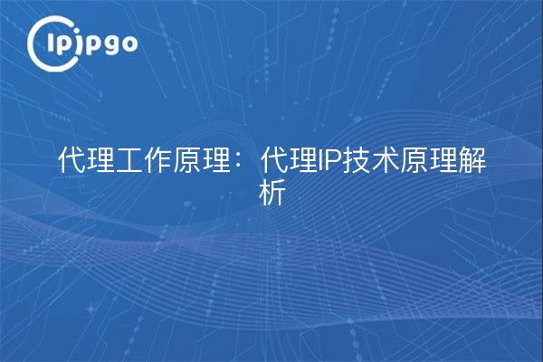 Wie Proxies funktionieren: Analyse der Grundsätze der Proxy-IP-Technologie