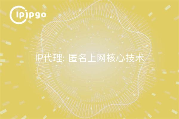 Proxy IP: tecnología central de Internet anónima