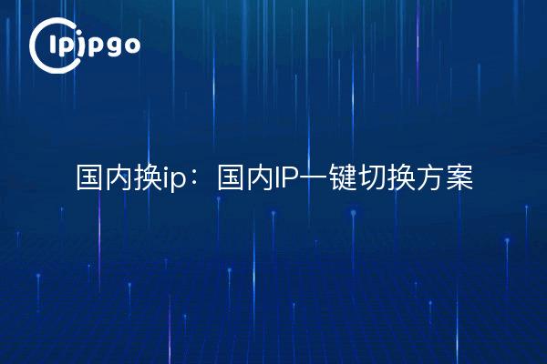 Domestic ip switching: one-click domestic IP switching program