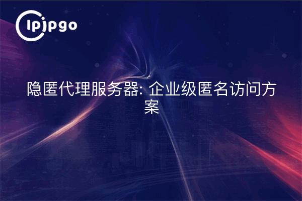Servidores proxy camuflados: soluciones de acceso anónimo para empresas