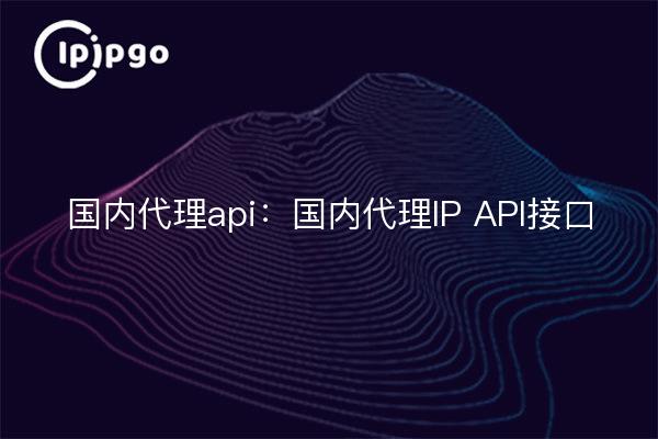 Domestic proxy api: Domestic proxy IP API interface