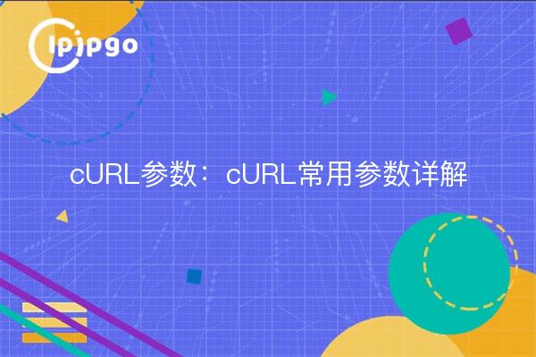 cURL-Parameter: Allgemeine cURL-Parameter erklärt