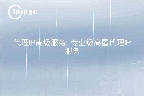 Proxy IP Premium Service: Professional High Stash Proxy IP Service