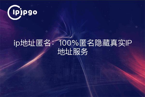 ip地址匿名:100%匿名隐藏真实IP地址服务