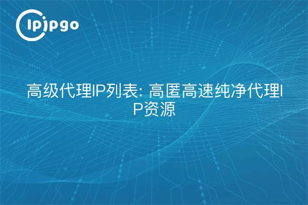 高级代理IP列表: 高匿高速纯净代理IP资源