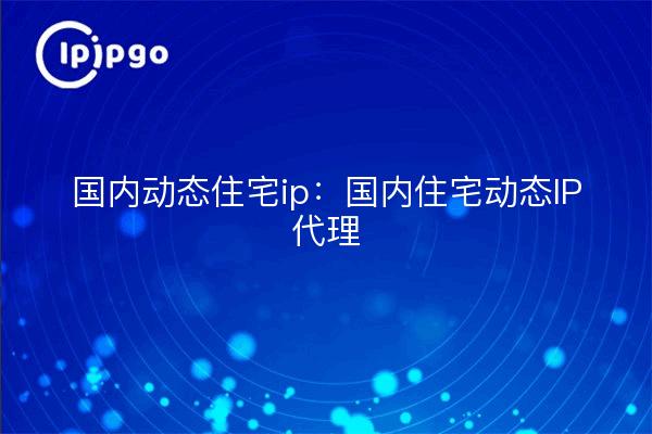 Domestic dynamic residential ip: Domestic residential dynamic IP proxy