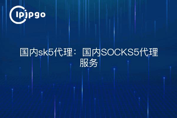 Agent domestique sk5 : service domestique d'agent SOCKS5