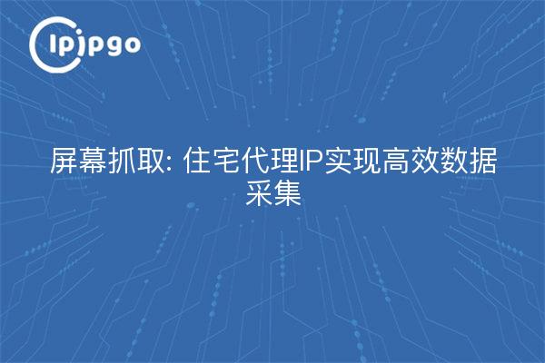 Screen Capture: Wohn-Proxy-IP für effiziente Datenerfassung