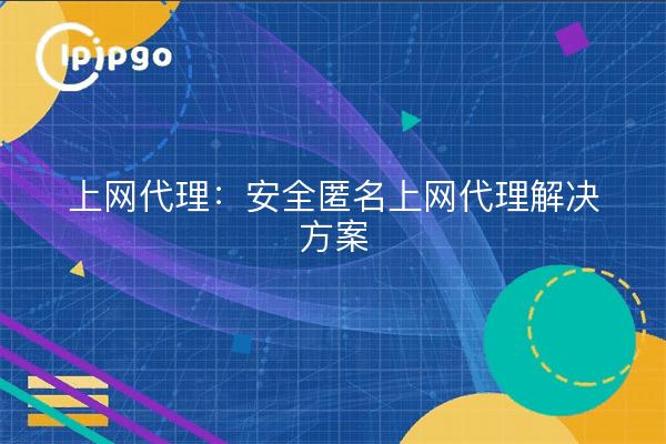 上网代理:安全匿名上网代理解决方案