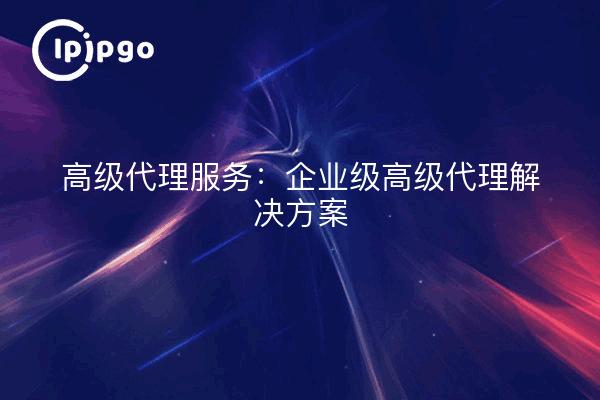 Erweiterte Proxy-Dienste: Erweiterte Proxy-Lösungen für Unternehmen