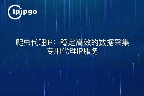 Crawler Proxy IP: Stabiler und effizienter Proxy-IP-Dienst zur Datenerfassung