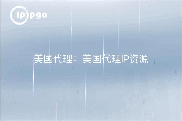 美国代理:美国代理IP资源