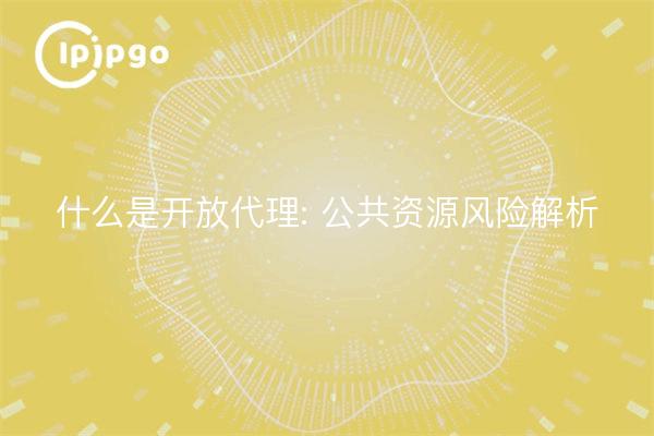 Qué es la Agencia Abierta: Análisis de riesgos para los recursos públicos