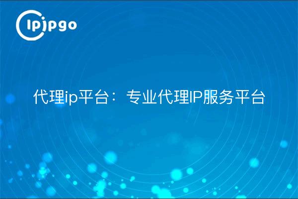代理ip平台:专业代理IP服务平台
