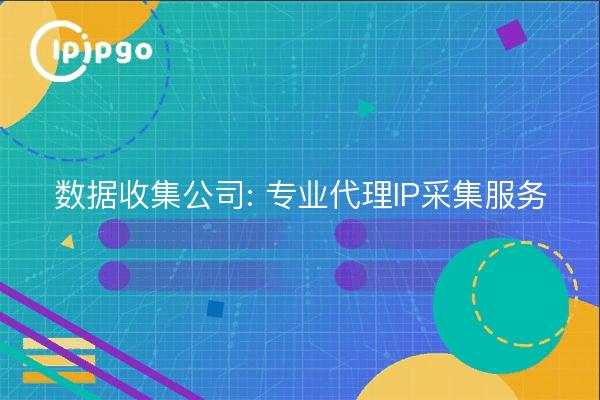 Data Collection Company: Professional Proxy IP Collection Service