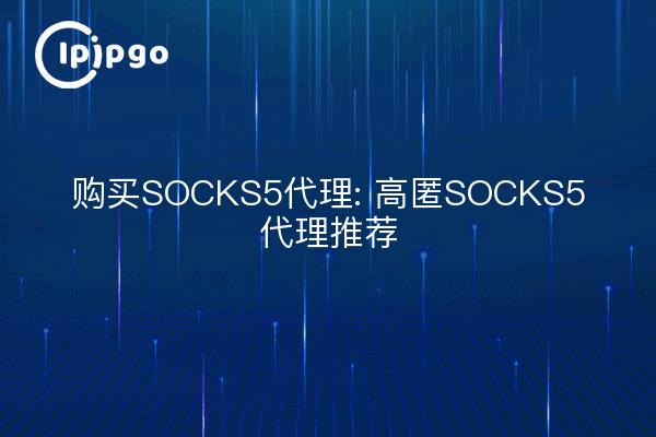 购买SOCKS5代理: 高匿SOCKS5代理推荐