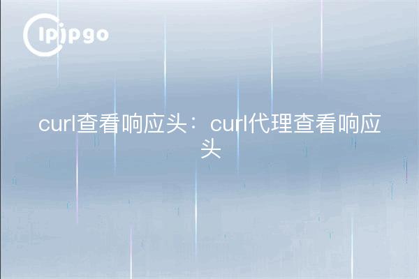 curl view response header: curl proxy view response header