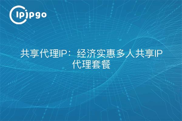 共享代理IP：经济实惠多人共享IP代理套餐