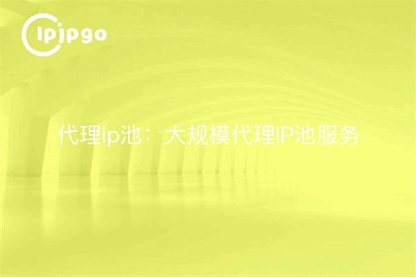 Proxy IP Pool : service de mise en commun d'adresses IP par proxy à grande échelle