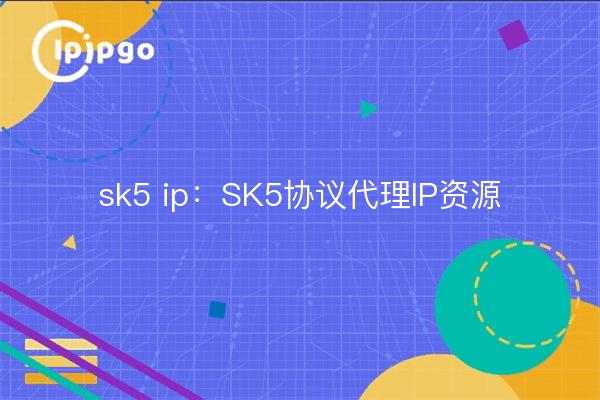 sk5 ip：SK5协议代理IP资源