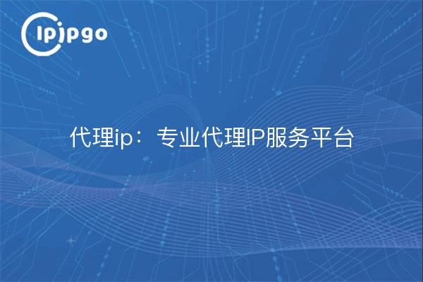 Proxy IP : Plate-forme professionnelle de services Proxy IP