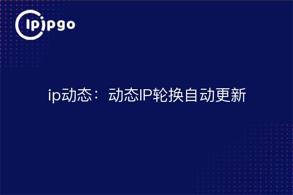ip dynamic: rotación ip dinámica actualización automática