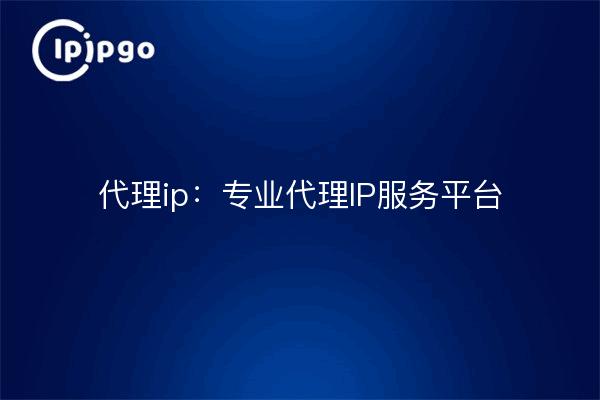 代理ip:专业代理IP服务平台