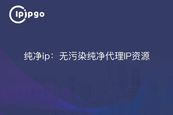 Pure ip: Pollution-free pure proxy IP resources