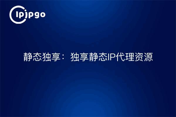 Estática Exclusiva: Uso exclusivo de recursos proxy IP estáticos