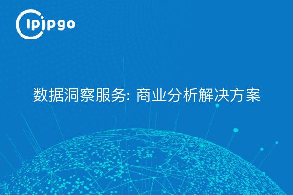 Data Insight Services : Solutions d'analyse commerciale