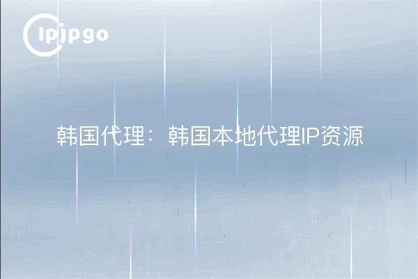 韩国代理:韩国本地代理IP资源