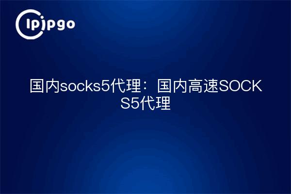 国内socks5代理:国内高速SOCKS5代理