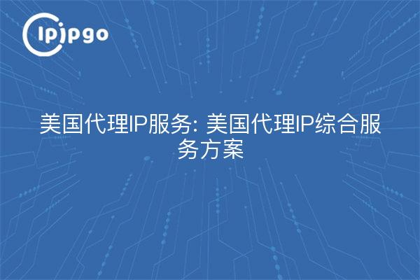 U.S. Proxy IP Service : U.S. Proxy IP Integrated Service Solution