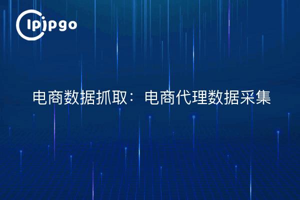 Datenerfassung im elektronischen Geschäftsverkehr: Datenerfassung durch E-Commerce-Agenten