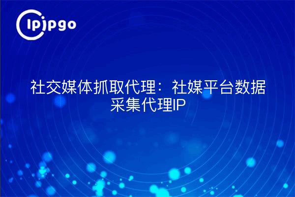 Social Media Capture Proxy : Proxy de collecte de données IP pour les plateformes de médias sociaux