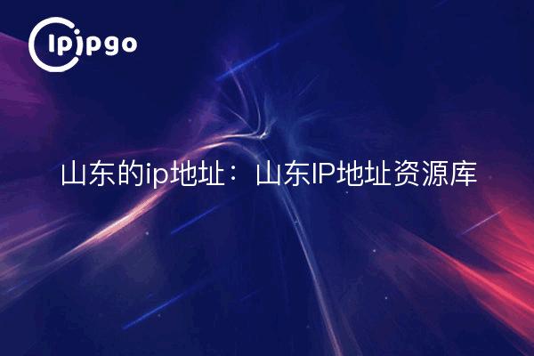 Shandong ip addresses: Shandong IP Address Resource Center