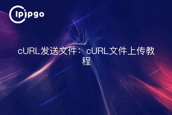cURL send file : tutoriel sur l'envoi de fichiers par cURL