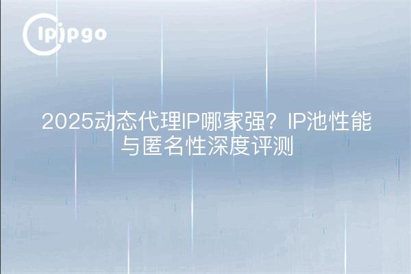 2025 Dynamic Proxy IP Which is the Best? In-depth Review of IP Pool Performance and Anonymity