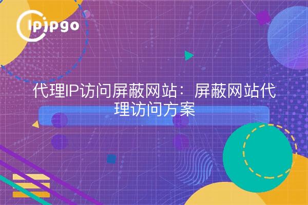 代理IP访问屏蔽网站:屏蔽网站代理访问方案