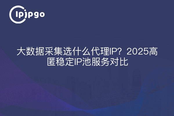¿Qué IP proxy elegir para la recopilación de big data?2025 Comparación del servicio de pool de IP estable High Stash