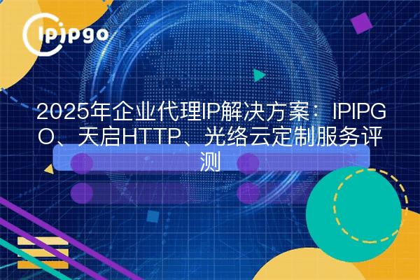 2025年企业代理IP解决方案:IPIPGO、天启HTTP、光络云定制服务评测