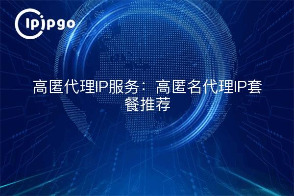 High Stash Proxy IP Service: Highly anonymous proxy IP package recommendation