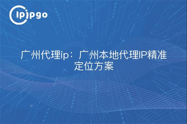广州代理ip：广州本地代理IP精准定位方案