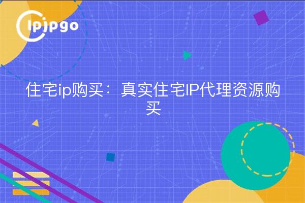 住宅ip购买：真实住宅IP代理资源购买