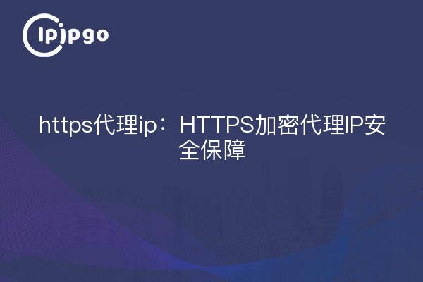 https代理ip：HTTPS加密代理IP安全保障