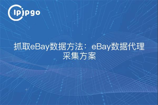Grab eBay data method: eBay data agent collection program