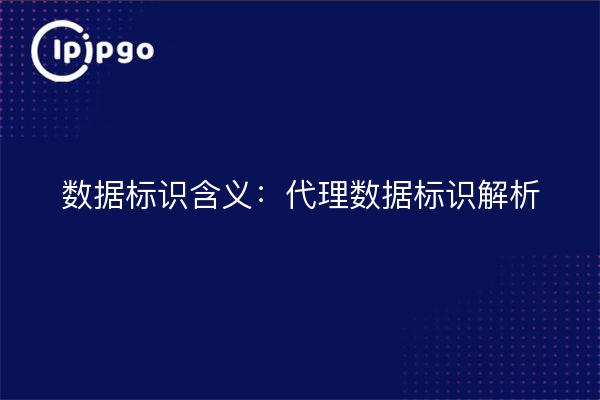 Datenidentität Bedeutung: Proxy-Datenidentität Auflösung